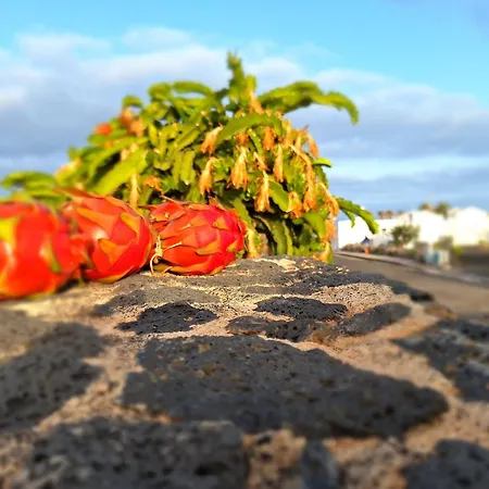 Mar En Calma Hébergement de vacances Teguise (Lanzarote)