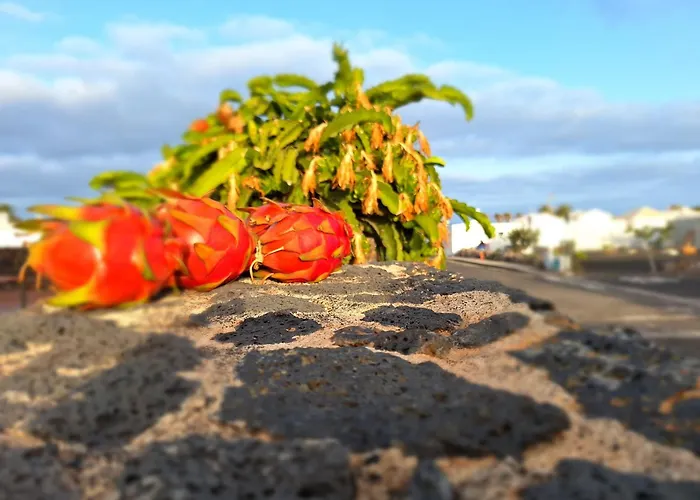 Mar En Calma Hébergement de vacances Teguise (Lanzarote)